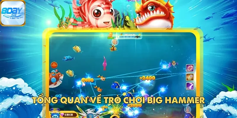 Big Hammer – Thế Giới Đại Dương Sôi Động Đang Chờ Bạn 2 Tổng quan về trò chơi Big Hammer