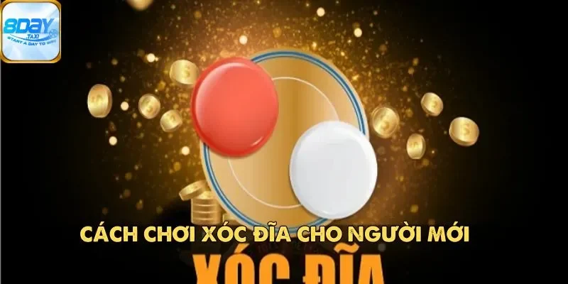 Xóc Đĩa 8DAY – Tựa Game Cá Cược Đổi Thưởng Cực Kỳ Hấp Dẫn 4 Cách chơi Xóc Đĩa cho người mới