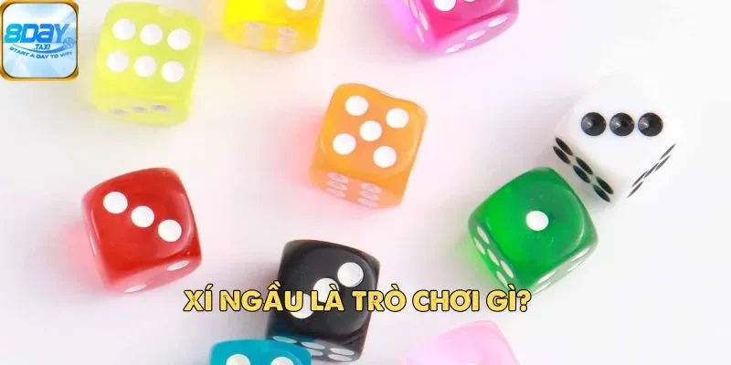 Bí Quyết Chơi Xí Ngầu Hiệu Quả Được Nhiều Người Áp Dụng 2 Xí ngầu là trò chơi gì?