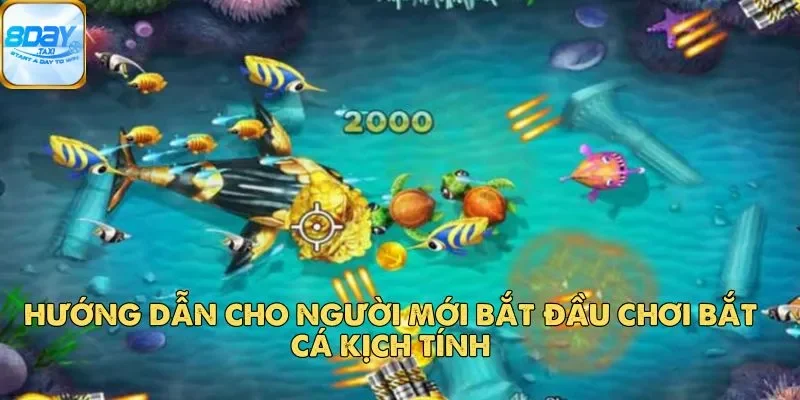 Bắt Cá Kịch Tính – Game Bắn Cá Hấp Dẫn và Gay Cấn 5 Hướng dẫn cho người mới bắt đầu chơi Bắt Cá Kịch Tính