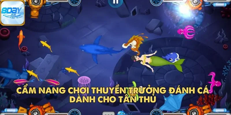 Thuyền Trưởng Đánh Cá – Huyền Thoại Săn Cá Đổi Thưởng 4 Cẩm nang chơi Thuyền Trưởng Đánh Cá dành cho tân thủ