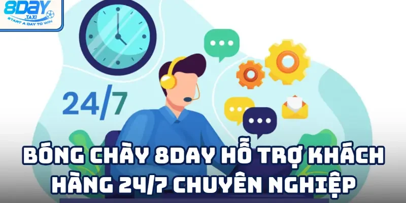 Bóng chày 5 Dịch vụ tối ưu cho hội viên mọi thời điểm