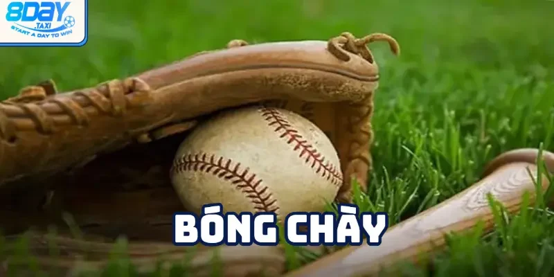 Bóng chày - Thể thao sôi động và cá cược cùng nhà cái 8DAY