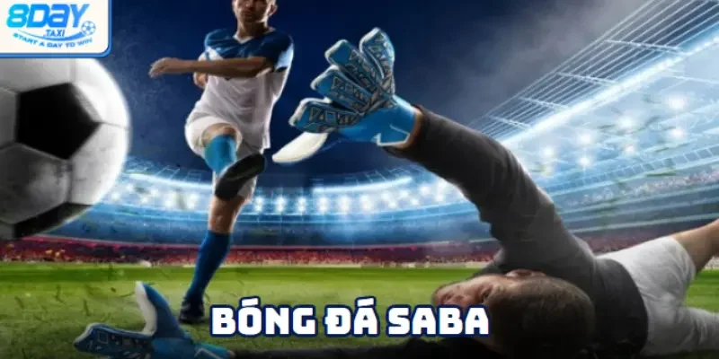 Bóng đá Saba tại nhà cái 8DAY – Trải nghiệm cược đỉnh cao