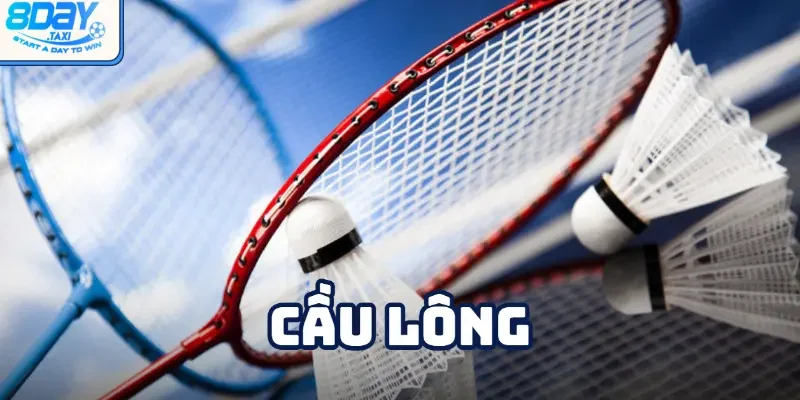 Cá cược Cầu Lông & Những điều cần biết trên 8DAY