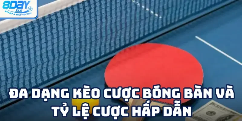 Bóng bàn 3 Đa dạng hình thức cược kết hợp với tỷ lệ cược cạnh tranh