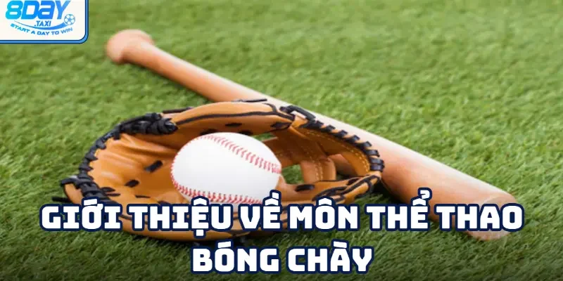 Bóng chày 2 Tổng quan rõ hơn về môn thể thao bóng chày