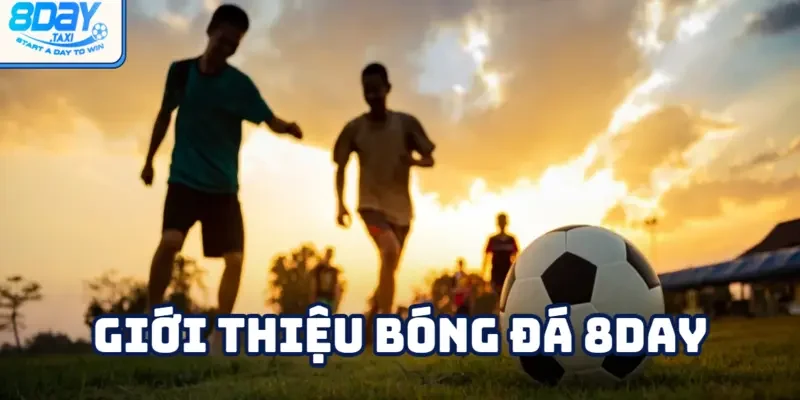 Bóng đá 2 Kho giải đấu bóng đá phong phú tại 8DAY