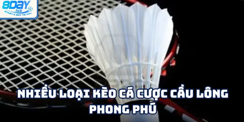 Cầu Lông 2 Nhiều loại kèo phong phú trong cá cược cầu lông