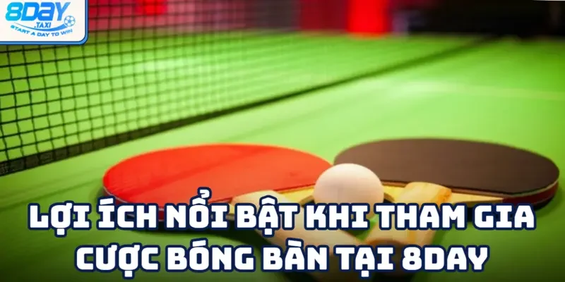 Bóng bàn 4 Những ưu điểm vượt trội khi cá cược bóng bàn tại 8DAY